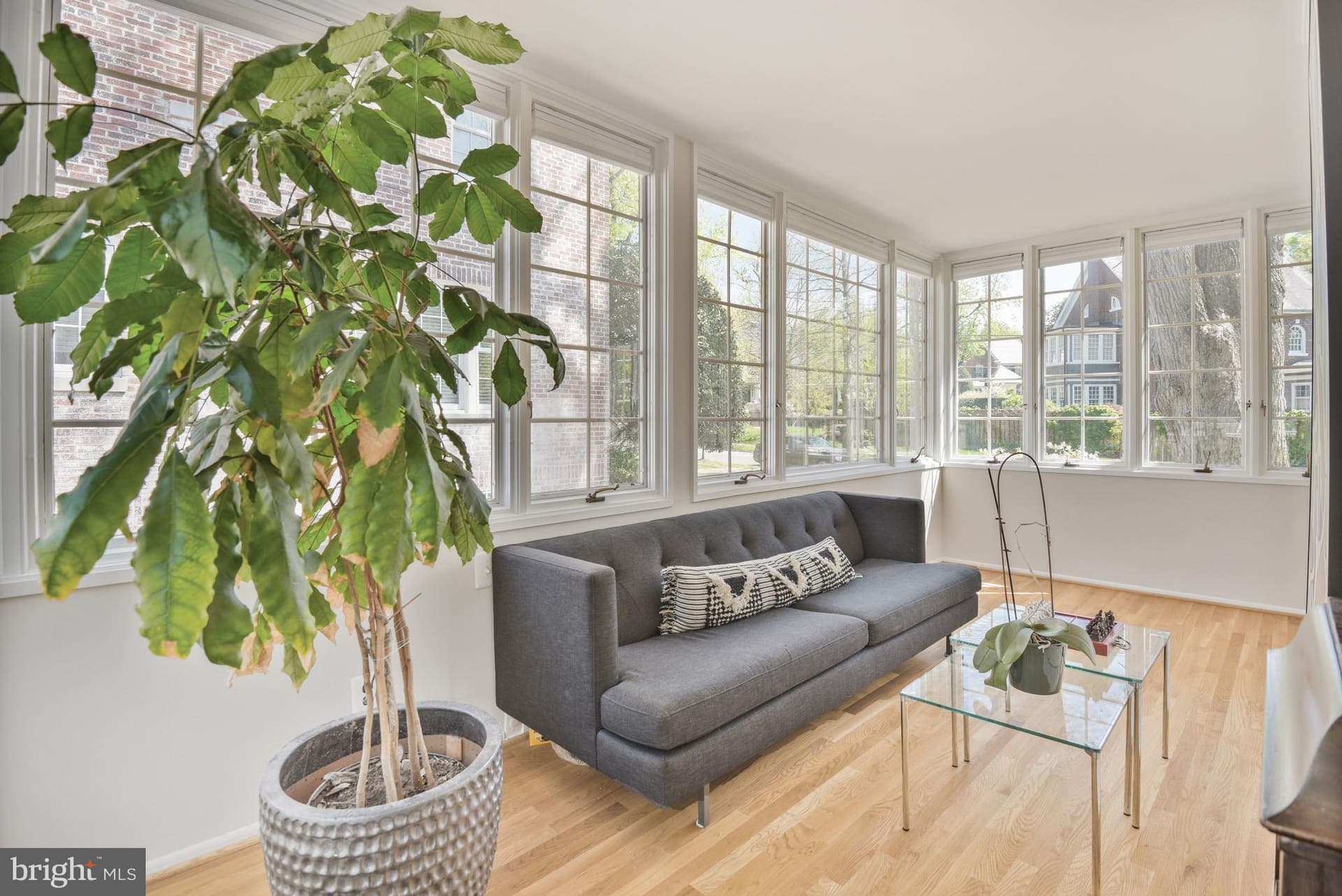3919 OLIVER STREET, CHEVY CHASE, MD 20815 — photo 6